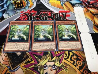 アロマセラフィ-アンゼリカ ノーマル 3枚セット てら