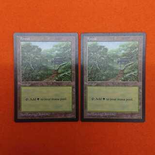 MTG2 APAC3 Forest Set of 2
