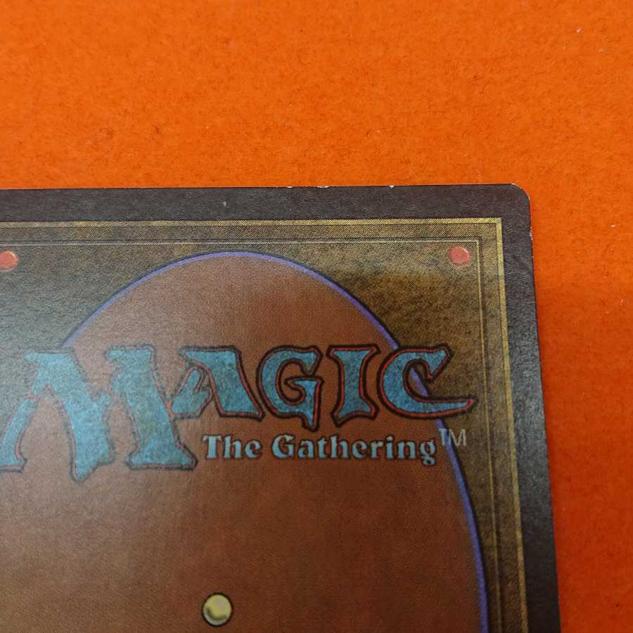 MTG2 APAC3 Forest Set of 2