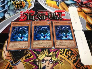 金華猫 ノーマル 3枚セット てら