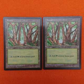 MTG2 APAC2 Forest Set of 2