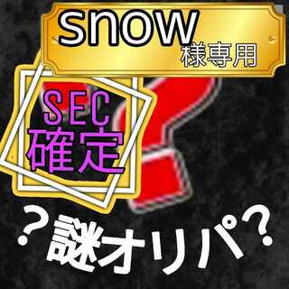 【専用ページ】snow様