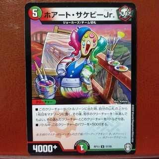 mri041　セット割引　ホアート・サケビーJr.