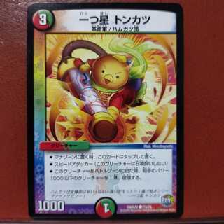 mri048 set discount one star pork cutlet