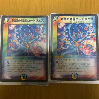 知識の精霊ロードリエス