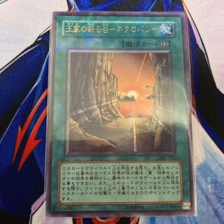 王家の眠る谷-ネクロバレー パラレル ウルトラノーマル