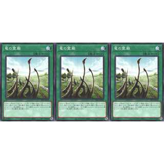 竜の霊廟 ノーマル 3枚 SR11030　ケイトレード