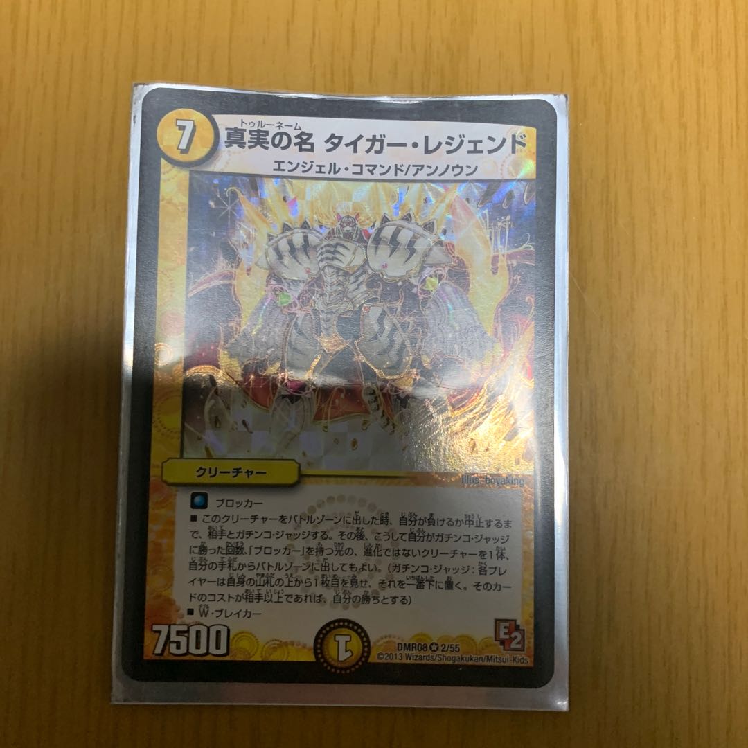 真実の名 タイガー・レジェンド