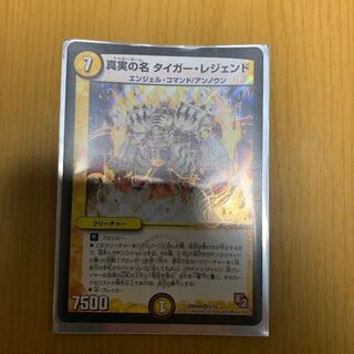 真実の名 タイガー・レジェンド