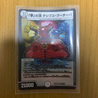 「拳」の頂 デシブコ・グーチーパ