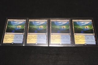 溢れかえる岸辺 日本語 4枚セット