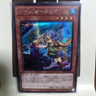 憑依装着-エリア【シークレット】