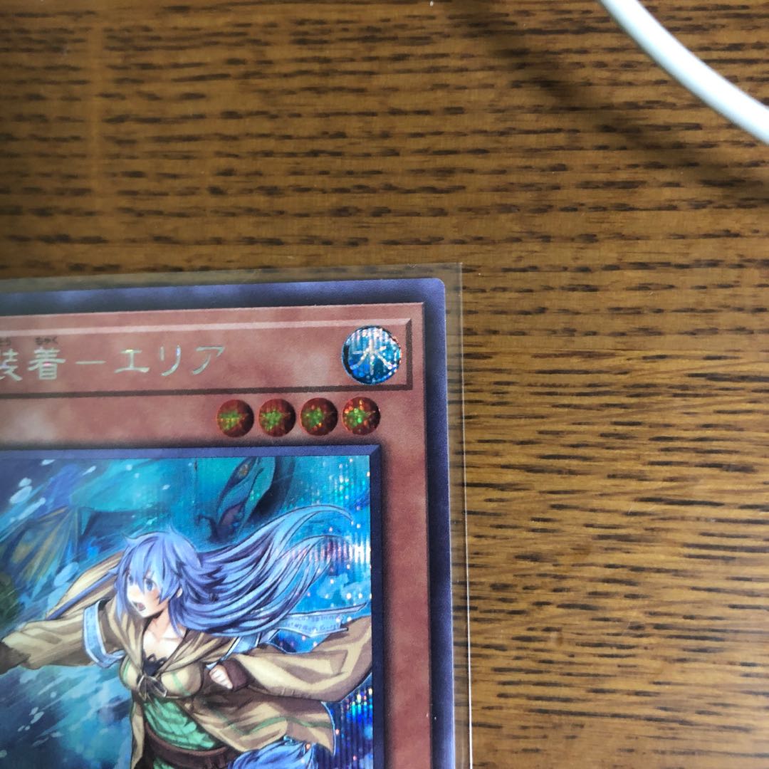 憑依装着-エリア【シークレット】