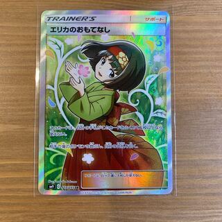 エリカのおもてなし SR