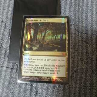 MTG 禁忌の果樹園 EXP FOIL 4枚セット MTG 禁忌の果樹園 EXP FOIL 4枚セット