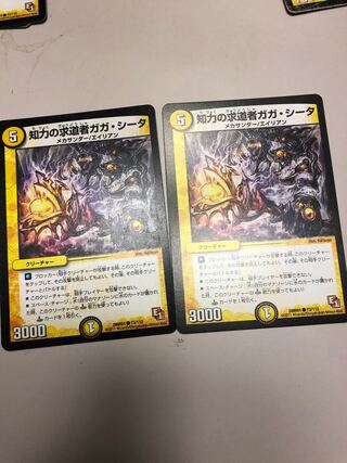 知力の求道者ガガ・シータ