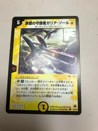 鉄壁の守護者ガリア・ゾールα