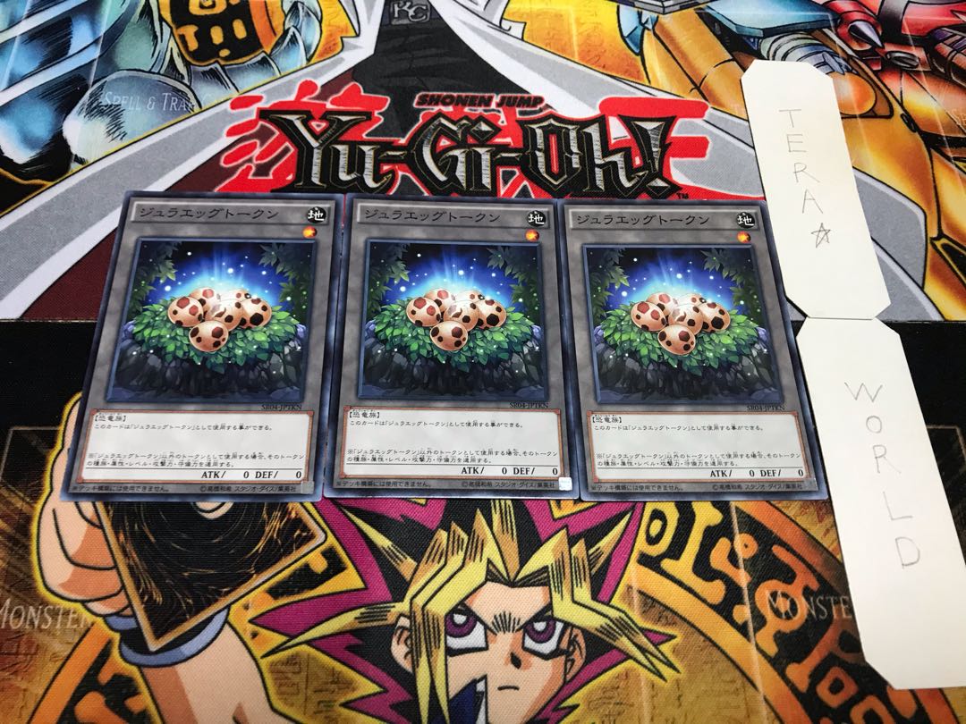 Jura Egg Token SR04-JPTKN Normal, set of 3 Tera.