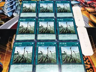 竜の霊廟 ノーマル 9枚セット てら