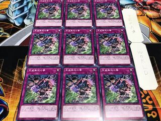 天威無双の拳 ノーマル 9枚セット てら