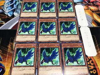 Blue Rose Dragon Normal 9-card set, Tera