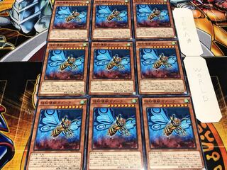 怪粉壊獣ガダーラ ノーマル 9枚セット てら