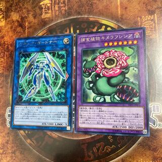 遊戯王★セキュア・ガードナー 、捕食植物キメラフレシア★