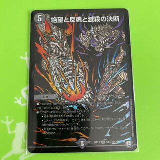 絶望と反魂と滅殺の決断(パーフェクト・ダークネス) SR シク