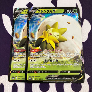 ワタシラガV RR SS