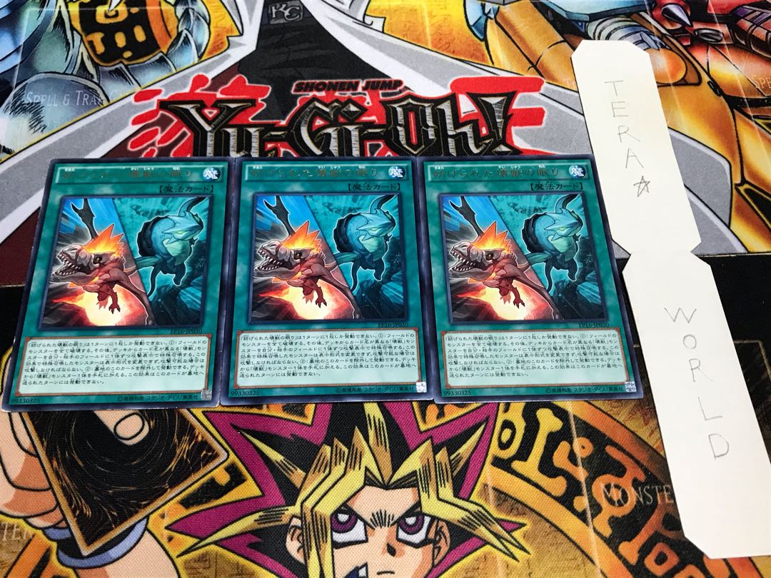 妨げられた壊獣の眠り レア 3枚セット てら