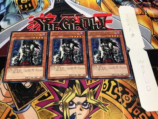 スカル・マイスター レア 3枚セット てら