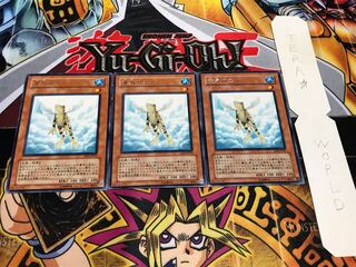 Treeborn Frog rare, set of 3, Terra