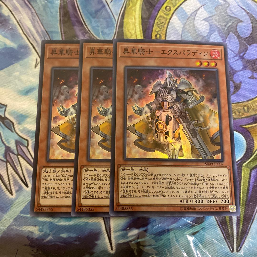 昇華騎士-エクスパラディン