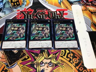 十二獣ライカ レア 3枚セット てら