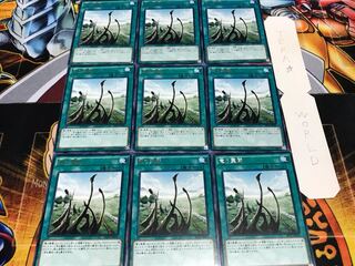 竜の霊廟 レア 9枚セット てら