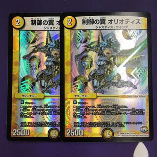 制御の翼 オリオティス R-foil 2枚