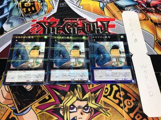 キキナガシ風鳥 ノーマルパラレル 3枚セット てら