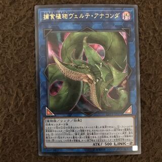 捕食植物ヴェルテ・アナコンダ #ぽんこつ UR1枚②