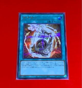 簡素融合  SE  シークレット