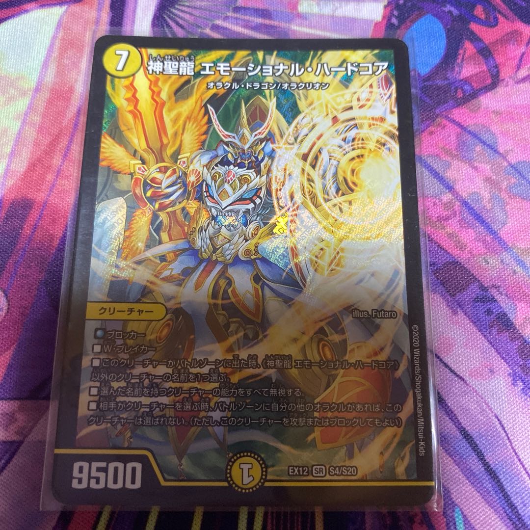 神聖龍 エモーショナル・ハードコア