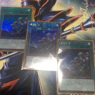 遊戯王　同胞の絆　韓国