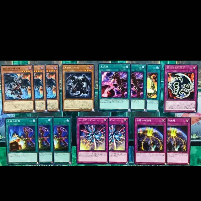 遊戯王 真紅眼 デッキ 本格構築 未使用スリーブ付き レッドアイズ