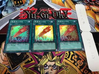 鳳凰神の羽根 スーパー 3枚セット てら