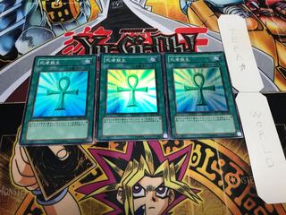 死者蘇生 スーパー 3枚セット てら