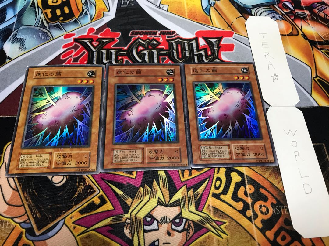 進化の繭 初期 スーパー 3枚セット てら