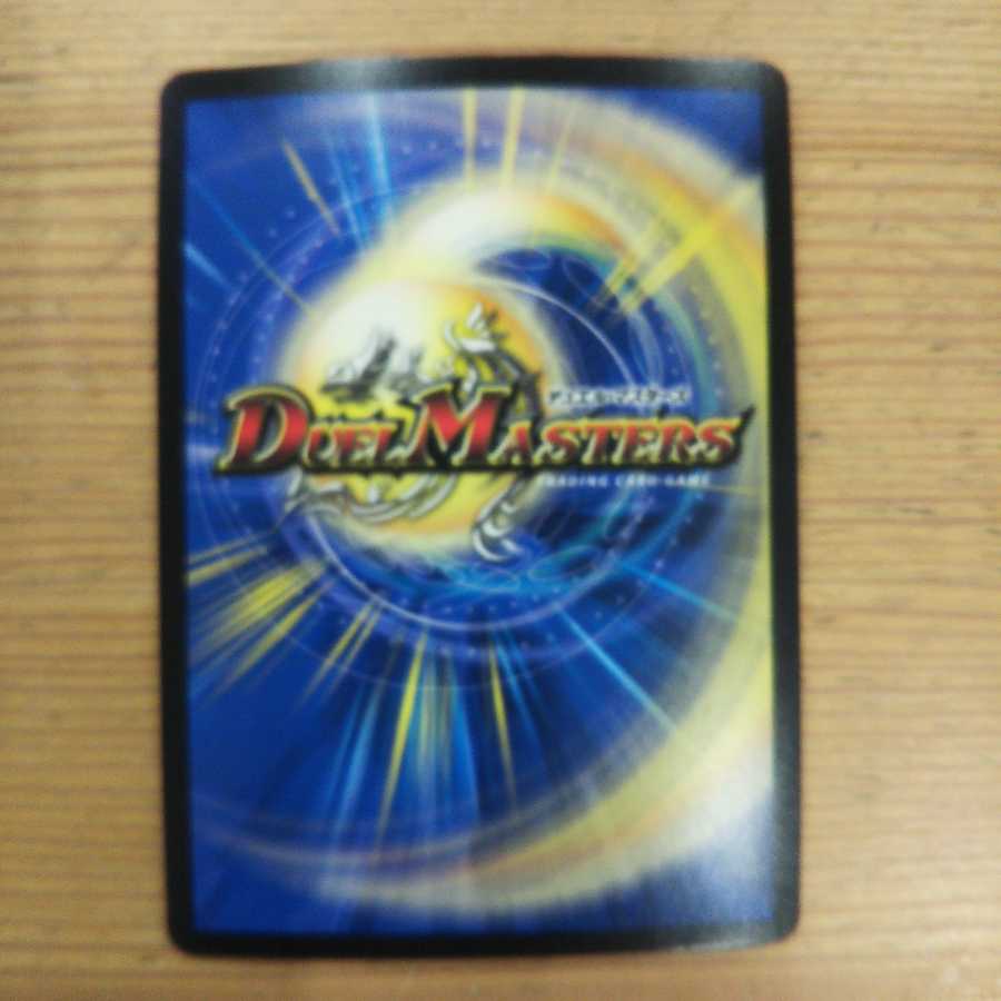 Ocean Zoolashima 4-piece set