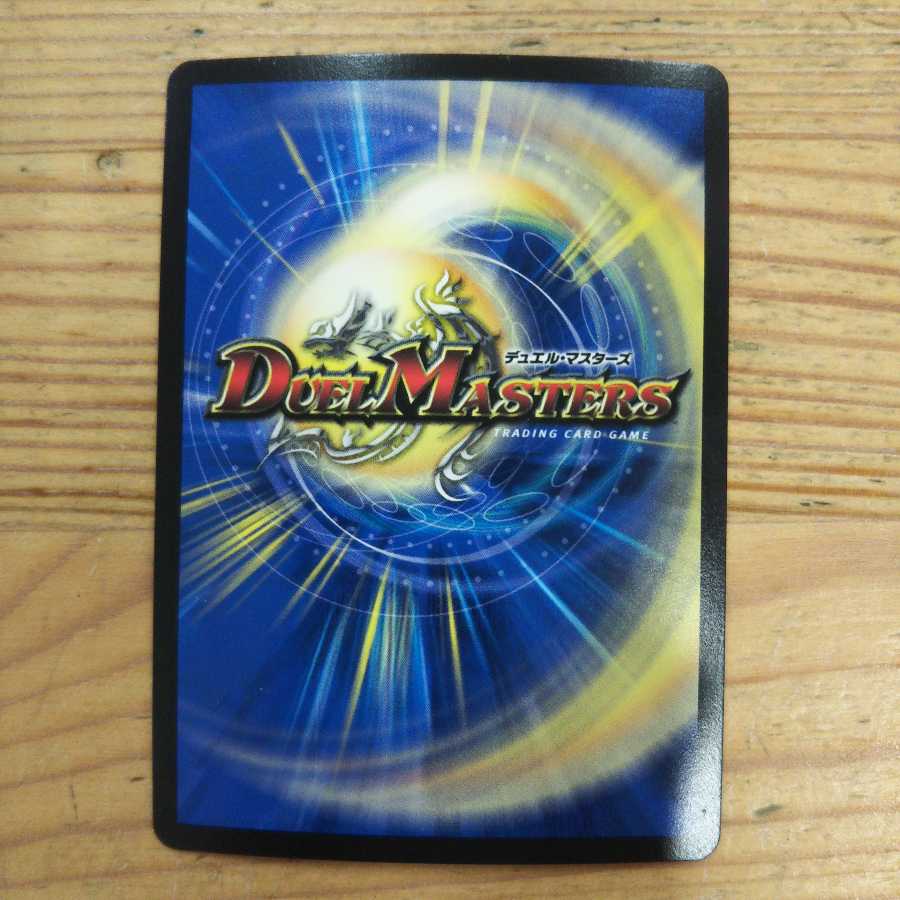 Ocean Zoolashima 4-piece set