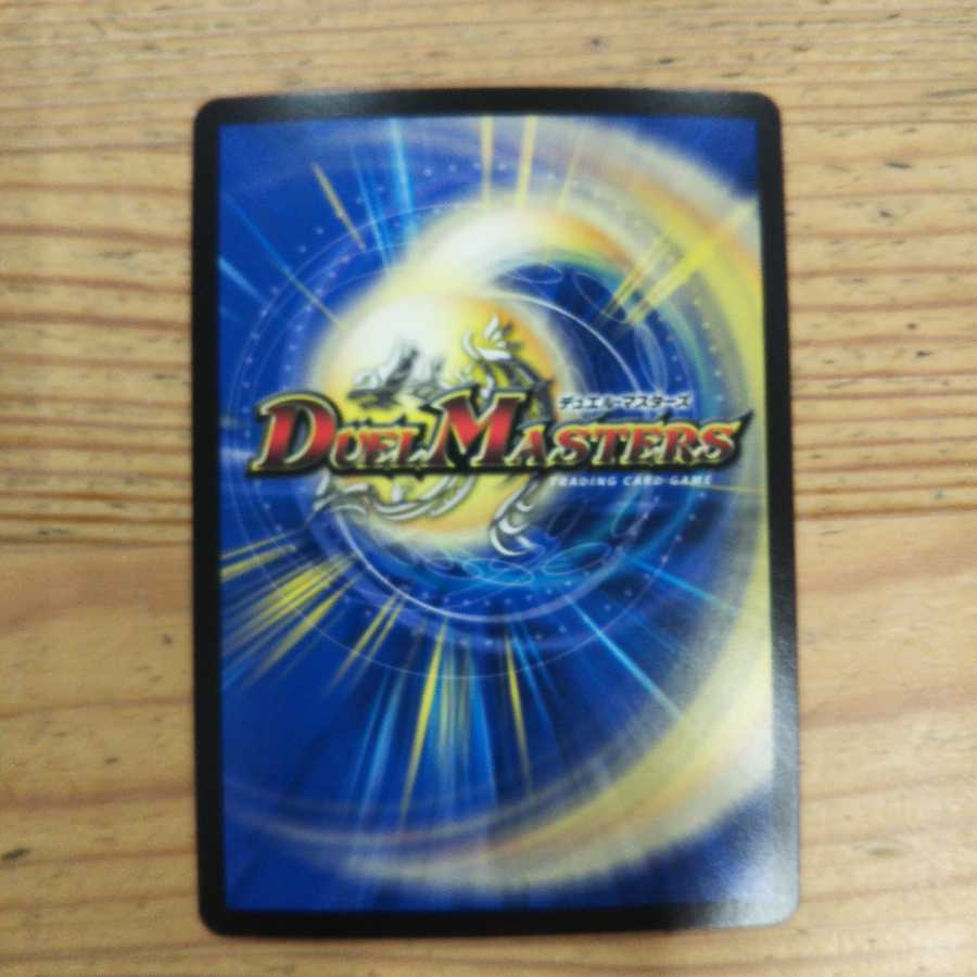 Ocean Zoolashima 4-piece set