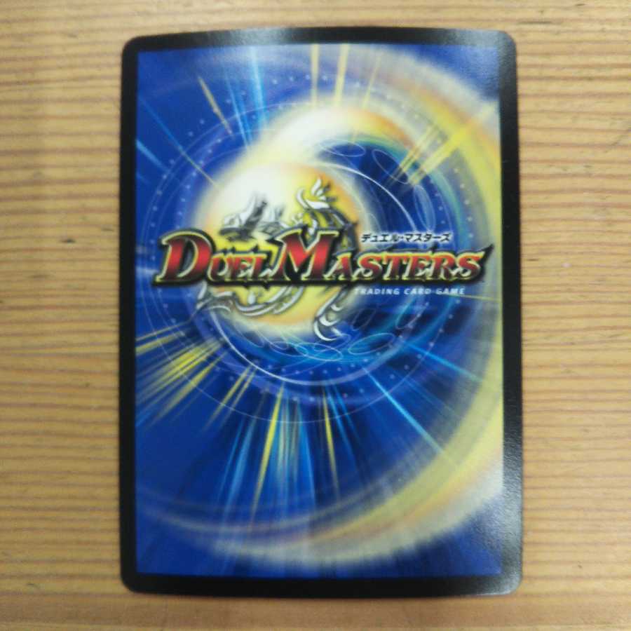 Ocean Zoolashima 4-piece set