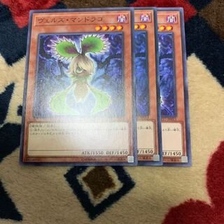 ヴェルズマンドラゴ
